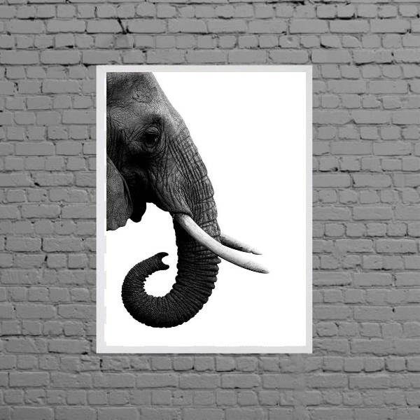 Quadro Perfil Elefante Fundo Branco 24x18cm Moldura:madeira P