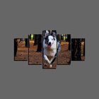 Quadro Pet De 5 Peças Estilo Mosaico Cachorro 07