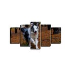 Quadro Pet De 5 Peças Estilo Mosaico Cachorro 08