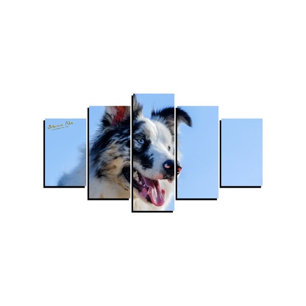 Quadro Pet De 5 Peças Estilo Mosaico Cachorro 10