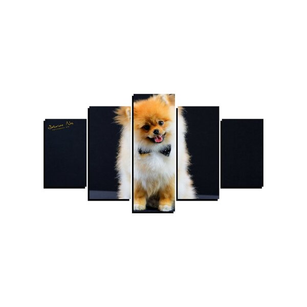 Quadro Pet De 5 Peças Estilo Mosaico Cachorro 17