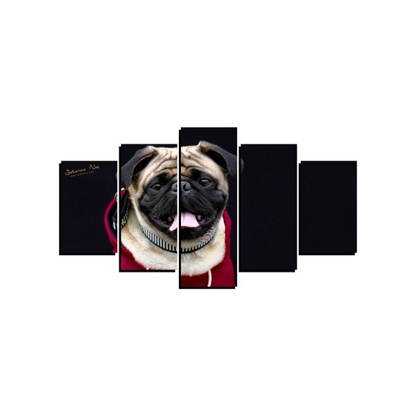 Quadro Pet De 5 Peças Estilo Mosaico Cachorro 31