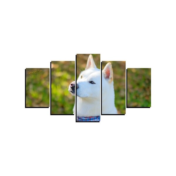 Quadro Pet De 5 Peças Estilo Mosaico Cachorro 36