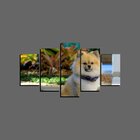 Quadro Pet De 5 Peças Estilo Mosaico Cachorro 50