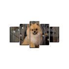 Quadro Pet De 5 Peças Estilo Mosaico Cachorro 52
