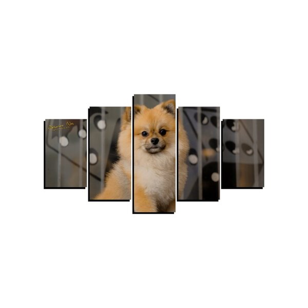 Quadro Pet De 5 Peças Estilo Mosaico Cachorro 52