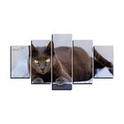 Quadro Pet De 5 Peças Estilo Mosaico Gatos 13