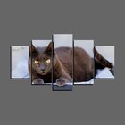 Quadro Pet De 5 Peças Estilo Mosaico Gatos 13