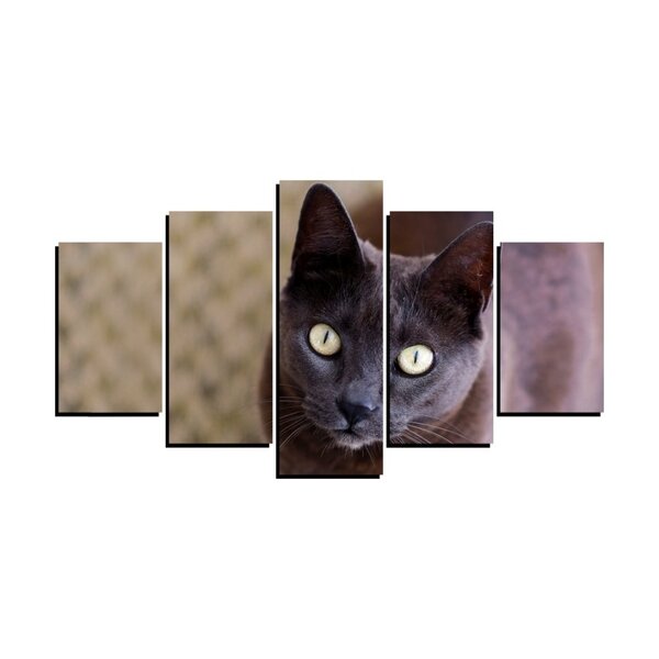 Quadro Pet De 5 Peças Estilo Mosaico Gatos 14