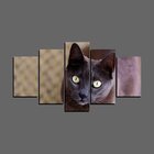 Quadro Pet De 5 Peças Estilo Mosaico Gatos 14