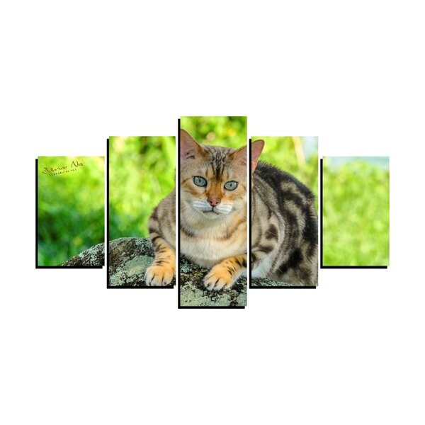 Quadro Pet De 5 Peças Estilo Mosaico Gatos 22