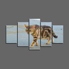 Quadro Pet De 5 Peças Estilo Mosaico Gatos 23