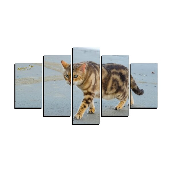 Quadro Pet De 5 Peças Estilo Mosaico Gatos 23