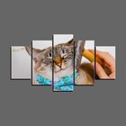 Quadro Pet De 5 Peças Estilo Mosaico Gatos 29
