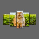 Quadro Pet De 5 Peças Estilo Mosaico Gatos 35