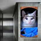 Quadro Pet Decorativo De 3 Peças Gato 12