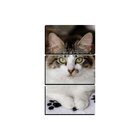 Quadro Pet Decorativo De 3 Peças Gato 16