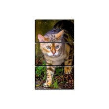 Quadro Barcelona Leao Preto 60x90cm Leroy Merlin
