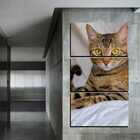 Quadro Pet Decorativo De 3 Peças Gato 49