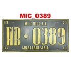 Quadro Placa Decorativa Metal Estados Unidos Michigan Eua