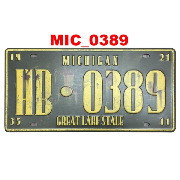 Quadro Placa Decorativa Metal Estados Unidos Michigan Eua