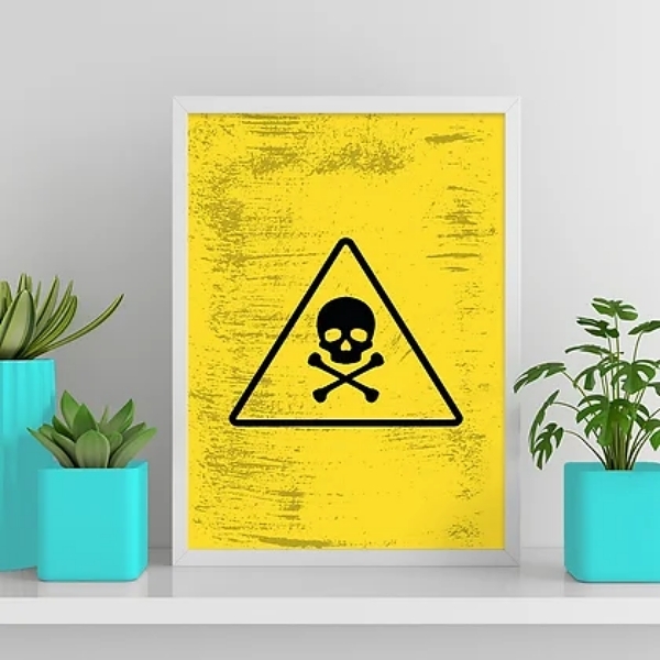 Quadro Placa Perigo Caveirinha 33x24cm Moldura:madeira Branca