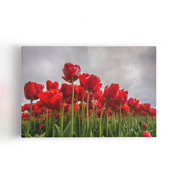 Quadro Plantação De Rosas Vermelhas Flores Canvas 120x80cm