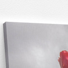 Quadro Plantação De Rosas Vermelhas Flores Canvas 60x40cm