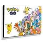 Quadro Pokémon Go Canvas 30x40cm-inf06