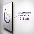 Quadro Pokémon Go Poké Ball Canvas 30x40cm-inf28