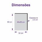 Quadro Pop Art Mickey Mouse Canvas 40x30cm-qp24