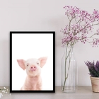 Quadro Porquinho Baby Sorrindo 24x18cm Moldura:madeira Branca