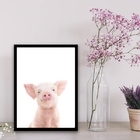 Quadro Porquinho Baby Sorrindo 33x24cm Moldura:madeira Branca