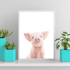 Quadro Porquinho Baby Sorrindo 33x24cm Moldura:madeira Branca