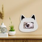 Quadro Porta Retrato De Parede Gato Orelha Em Alto Relevo Par