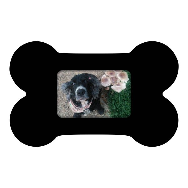 Quadro Porta Retrato De Parede Osso Para 1 Foto 10x15cm Preto