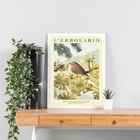 Quadro Poster Passarinho Flores Soft 45x34cm - Com Vidro Mold