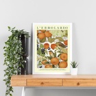 Quadro Poster Passarinhos Com Frutas 45x34cm Moldura Preta