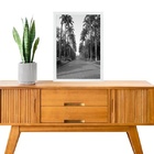 Quadro Praça Da Liberdade - Belo Horizonte 45x34cm Moldura Pr