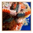 Quadro Praia Azul com Vidro 60x60cm Arte Própria