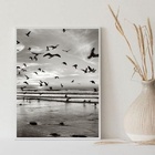 Quadro Praia Preto E Branco - Pássaros 45x34cm Moldura Branca