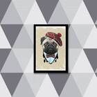 Quadro Pug Boina 33x24cm - Com Vidro Moldura:madeira Branca