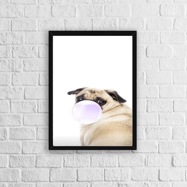 Quadro Pug Chiclete 45x34cm - Com Vidro Moldura:madeira Branca