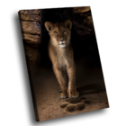 Quadro Rastro -- Br Artes