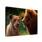 Quadro Rei E Rainha Da Selva -- Br Artes