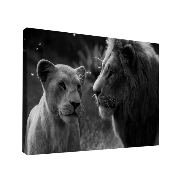 Quadro Rei E Rainha Da Selva Pb -- Br Artes Pequeno 60x40