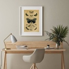 Quadro Retrô Espécies De Borboletas - 60x48cm Moldura:madeira