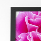 Quadro Rosa Flor Fotografia Em Foco Moldura Preta 60x40cm