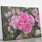 Quadro Rosa Flores Planta Natureza Foto Canvas 60x40cm