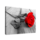 Quadro Rosa Pequeno 60x40